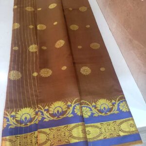 Brown Saaree