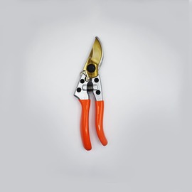 Pruning secateurs